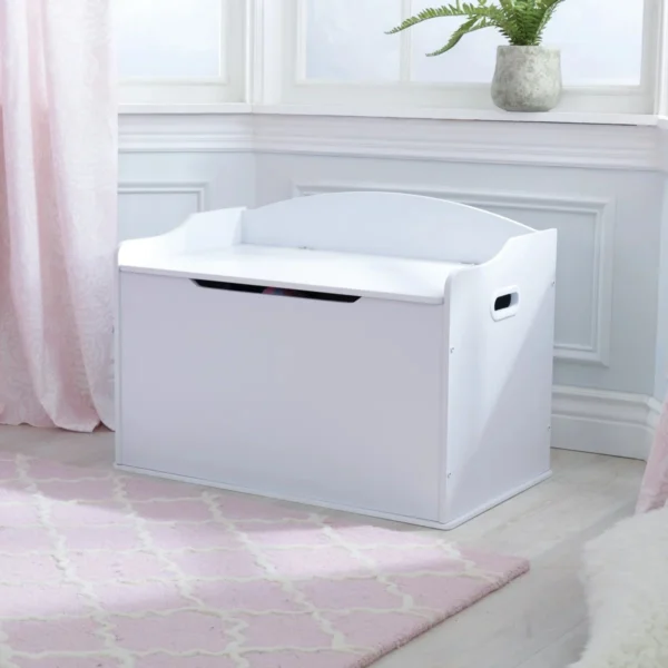 Wayfair Austin Wooden Toy Box/Bench with Safety Hinged Lid