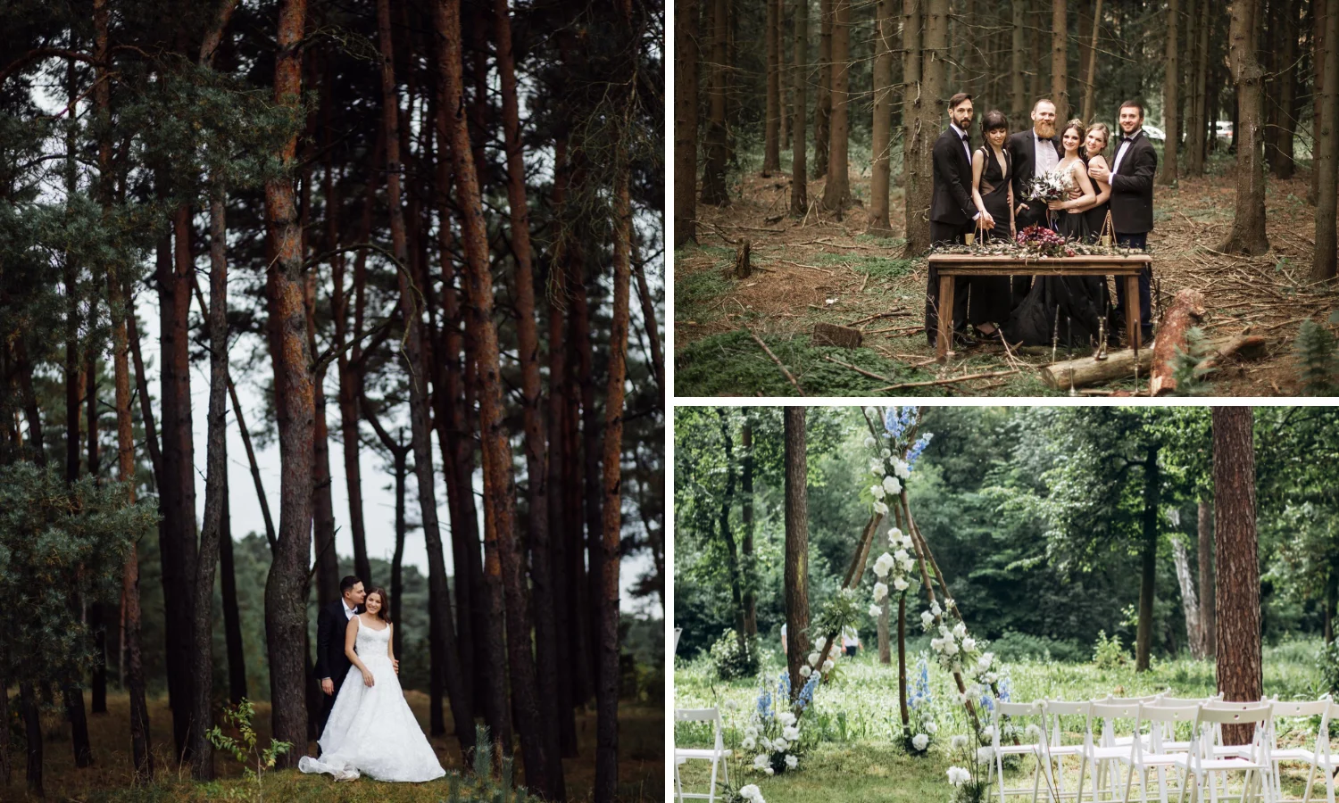 Forest wedding blog cover image