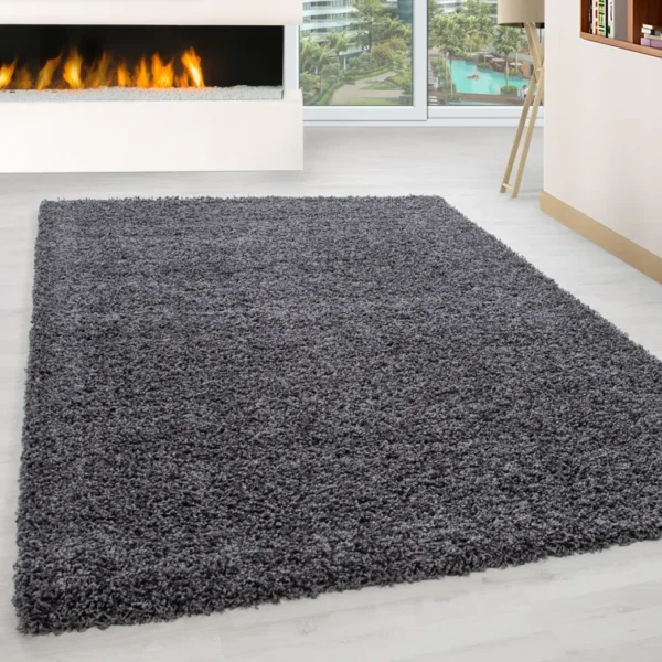 Wayfair Chuck Shaggy Grey Rug