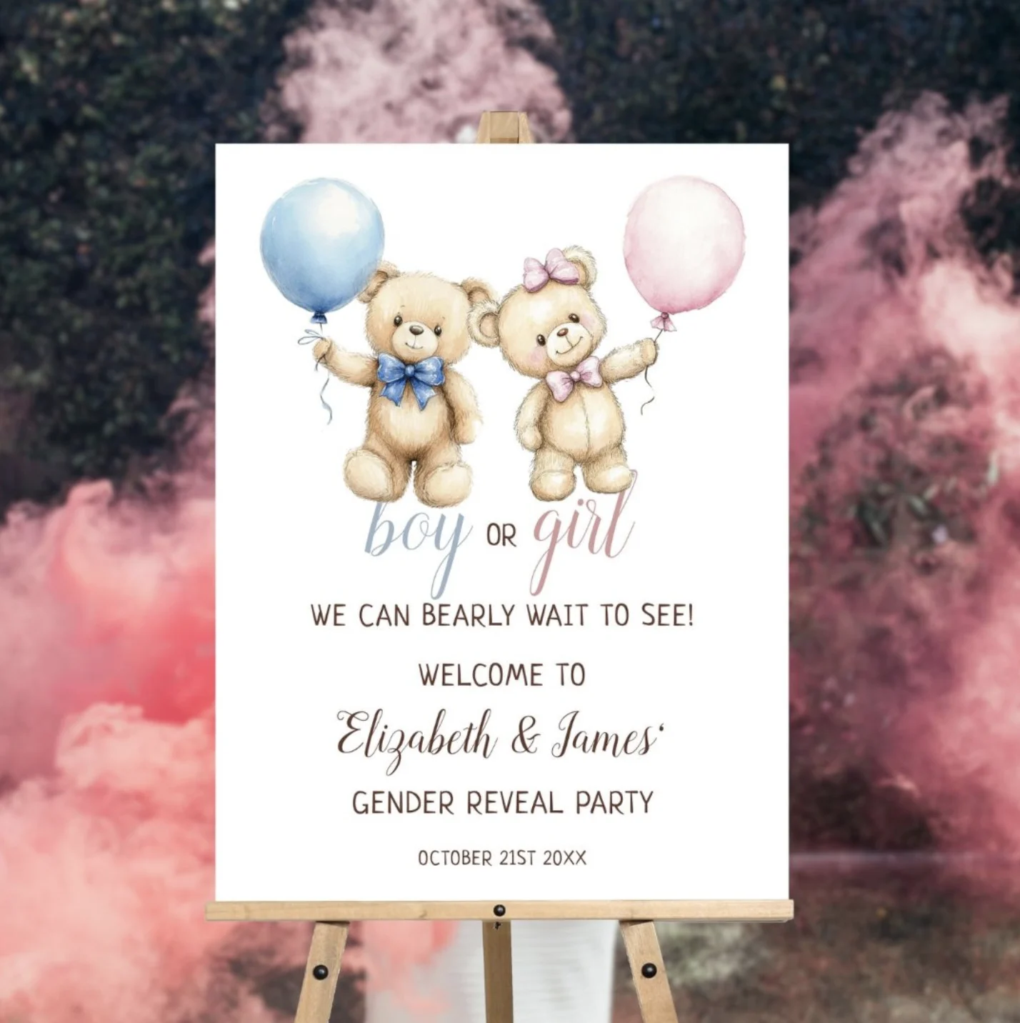 Cute bears gender reveal welcome sign