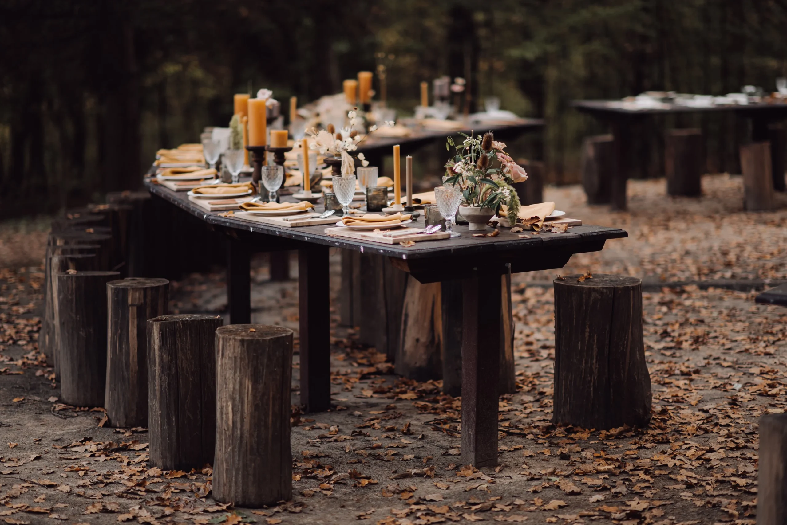 Beautiful rustic forest wedding table