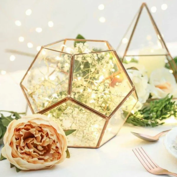 Glass Geometric Terrarium