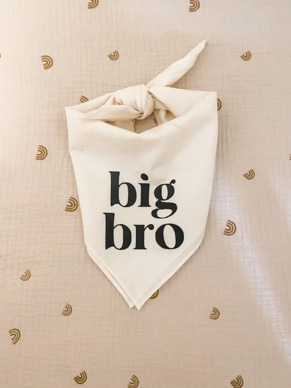 Big Bro Dog Bandana