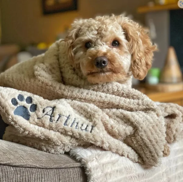 Personalised Embroidered Pet Waffle Blanket