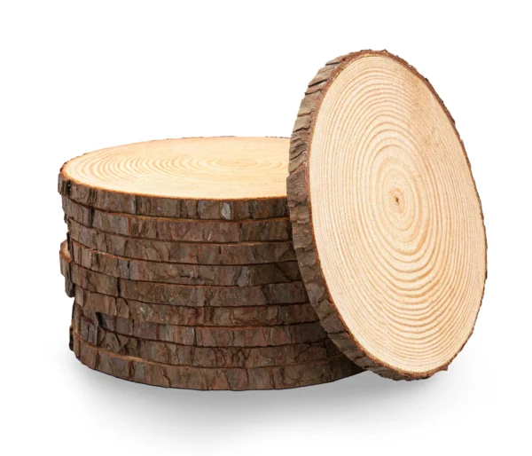 Set of 10 Wood Slices