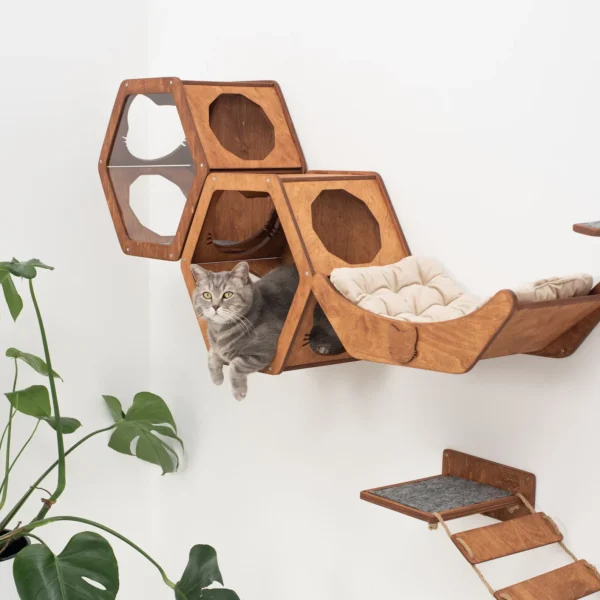 Cat Climbing Wall Shelf