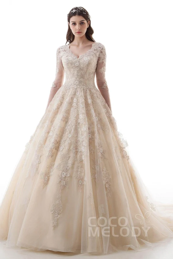 Cocomelody Princess Court Train Lace Tulle Gothic Wedding Dress